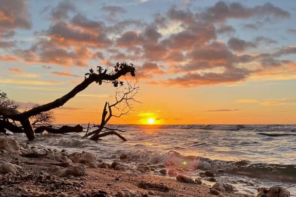 Puako Tropical Garden Retreat · Puako Tropical Garden Retreat - Across from Beach! - Image 1